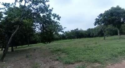 a Standard, Stunning Land, Lokogoma District, Abuja, Residential Land Joint Venture