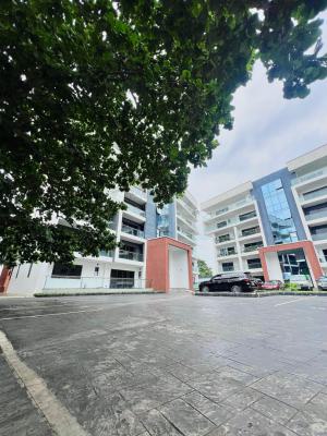 Furnished 2 Bedrooms Apartment with Bq and Swimming Pool, Old Ikoyi, Ikoyi, Lagos, Flat / Apartment for Rent