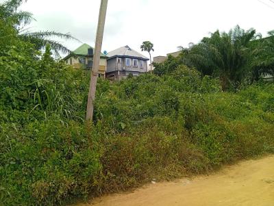 a Full Plot of Dry Land in a Well Structured Neighborhood, Opic Area 5 Petedo, Agbara-igbesa, Lagos, Mixed-use Land for Sale