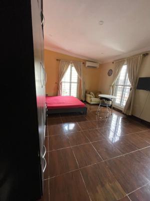 Fully Furnished Luxury Bedroom in a Shared Terrace Apartment, Lekki, Lagos, Mini Flat (room and Parlour) for Rent