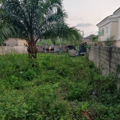 a Full Plot of Dry Land Fenced and Gated, Mega Estate, Badore, Ajah, Lagos, Mixed-use Land for Sale