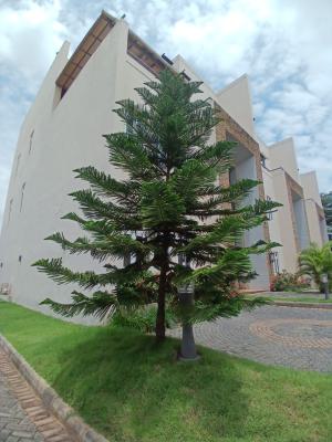 Fully Furnished 4 Bedroom Terrace Duplex with 1 Room Bq, Diplomatic Zone, Wuse 2, Abuja, Terraced Duplex for Rent