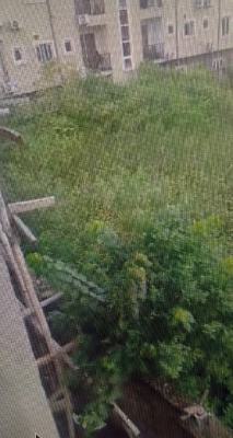 Prime 1200sqm of Premium Land on Offer, Kennedy Okonkwo Street Creek Lane Estate, Osapa, Lekki, Lagos, Land for Sale
