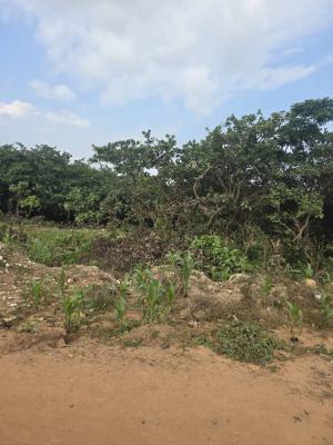 1,200sqm Cofo Residential Land, Guzape District, Abuja, Residential Land for Sale
