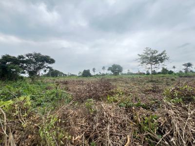 Most Affordable Ready to Build Land with a Registered Survey, Ibefun Ikorodu Epe Road, Epe, Lagos, Mixed-use Land for Sale