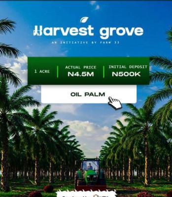 Profitable Palm Oil Farming with Freehold and Registered Survey, Harvest Groove Palm Oil  Located in Ayepe, Ado-odo/ota, Ogun, Mixed-use Land Joint Venture
