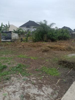 Land with Raft Has Gazette, Deed of Assignment and Survey, Lekki Nature Garden Estate, Abijo, Lekki, Lagos, Residential Land for Sale