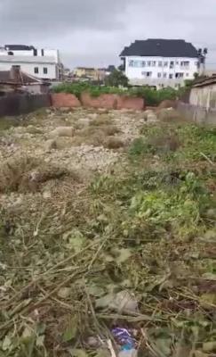 Distress in Akoka Bariga   a Bare Land on a Full Plot at, Akoka, Yaba, Lagos, Mixed-use Land for Sale