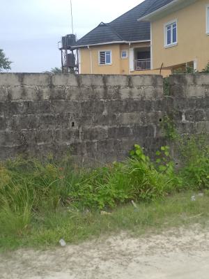 Big Plot of Land Fenced and Gated with Gazette, Lekki Nature Garden Estate, Abijo, Lekki, Lagos, Residential Land for Sale