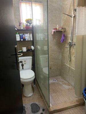 Furnished & Service Self-contain, Victoria Island (vi), Lagos, Self Contain (single Rooms) for Rent