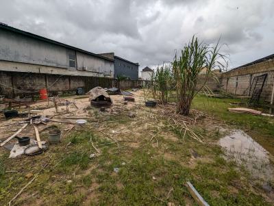 L-shaped 1207 Sqm Fenced Land with Deed, Addo Road, Ajah, Lagos, Mixed-use Land for Sale