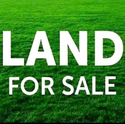 Land 500sqm, Akerele Estate, Bariga, Shomolu, Lagos, Residential Land for Sale