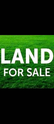 Land 500sqm, Akerele Estate, Bariga, Shomolu, Lagos, Residential Land for Sale