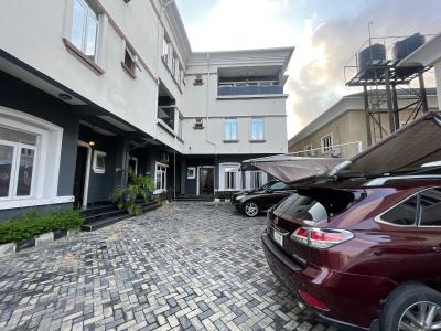 Standard 3-bedroom Duplex with Boys Quarters, Lekki Right By Pinnacle Filling Station, Lekki Phase 1, Lekki, Lagos, Terraced Duplex for Rent