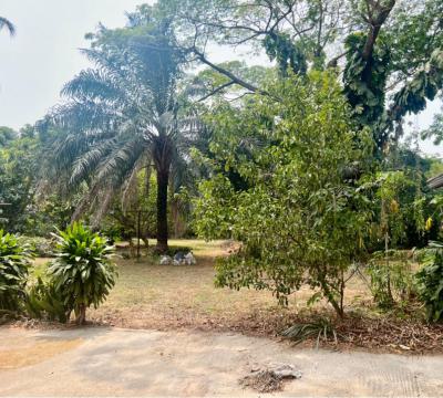 3,300sqm Waterfront  Land, Banana Island, Ikoyi, Lagos, Land for Sale