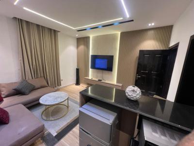 Fully Furnished One Bedroom Apartment, Off Admiralty Way, Lekki, Lagos, Mini Flat (room and Parlour) for Rent