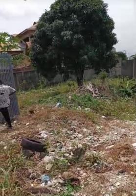 Proper Land, Lekki Phase 1, Lekki, Lagos, Mixed-use Land for Sale
