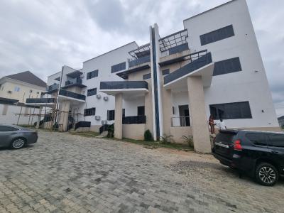 Newly Built 5 Bedroom Terrace Duplex with Bq, Asokoro District, Abuja, Terraced Duplex for Rent