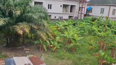 One Plot of Land, Goodness Estate, Sangotedo, Ajah, Lagos, Residential Land for Sale