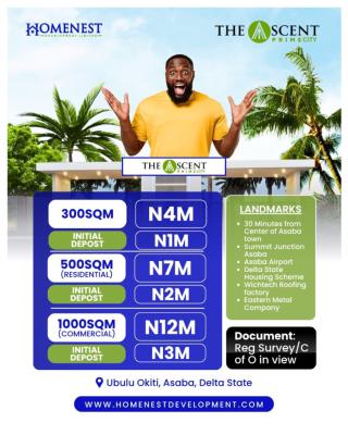 Land with Registered Survey, Homenest/ubulu Okiti, Asaba, Delta, Residential Land for Sale