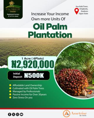 The Oil Boom Is Here, Palmrich Farm, Km 46, Ogun, Industrial Land for Sale
