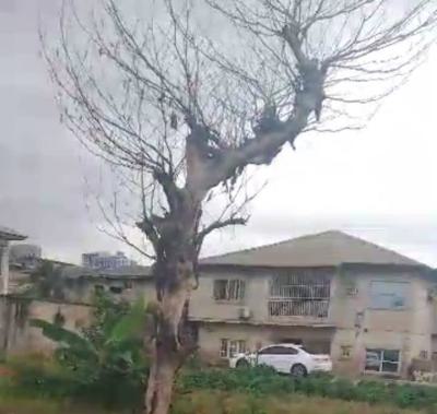 Fully Detached Duplex of 3 Bedroom Flat, Oregun, Ikeja, Lagos, Detached Duplex for Sale