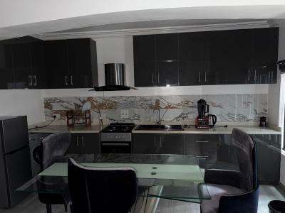 Furnished  2 Bedroom Apartment, Awolowo Way, Ikoyi, Lagos, Flat / Apartment for Rent