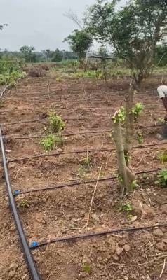Most Affordable and Profitable Farm Land with Good Title, Close to Funaab in Alabata, Odeda, Ogun, Mixed-use Land for Sale
