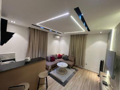 Fully Furnished One Bedroom Apartment, Lekki Phase 1, Lekki, Lagos, Mini Flat (room and Parlour) for Rent