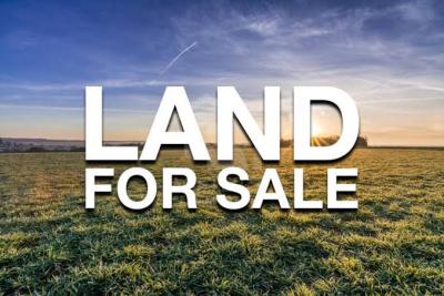 Banana Island*  *location:* Banana Island (non-water, Banana Island Location:* Banana Island (non-water, Banana Island, Ikoyi, Lagos, Residential Land for Sale