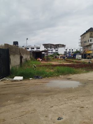 Investment and Affordable Land in a Secured Estate, Off Freedom Way, Ikate Elegushi, Lekki, Lagos, Mixed-use Land for Sale