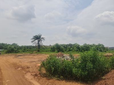 1,501 Sqm Strategic Land, By Atiku School, Katampe, Abuja, Residential Land for Sale