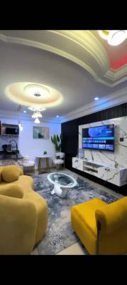 Book This Spacious 1 Bedroom Apartment, Lekki Phase 1, Lekki, Lagos, Flat / Apartment for Rent