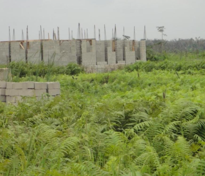 Residential Land Measuring 1,828sqm with Cofo, Asokoro, Asokoro District, Abuja, Residential Land for Sale