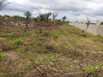 Luxury Land with Certificate of Occupancy (c of O), Ife City Estate Along Lekki Epe Expressway Ilamaja, Ibeju Lekki, Lagos, Commercial Land for Sale