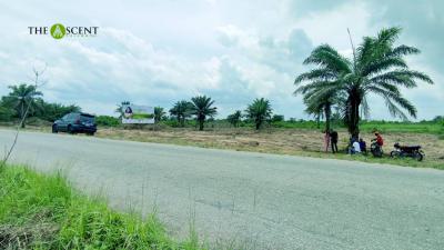 2 Plot of Land with Instant Allocation, 2 Plots with Instant Allocation at Ascent Trilogy Along Ketu, Epe, Lagos, Residential Land for Sale