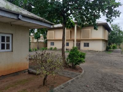 6 Bedroom Fully Detached Duplex on 2,500sqm Land, Jabi, Jabi, Abuja, Detached Duplex for Rent