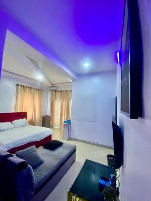 Furnished Self Contained Apartment, Lagos Business School, Olokonla, Ajah, Lagos, Self Contain (single Rooms) for Rent