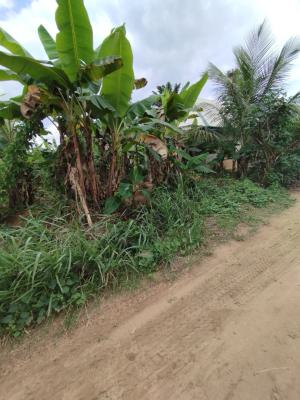 Strategically Located Plots of Land, Off Aka Road, Off Aniekan Uko, Mbikpong Estate Extension, Uyo, Akwa Ibom, Residential Land for Sale