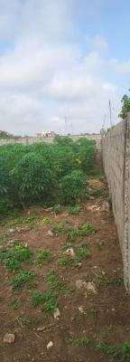 Fenced 900 Sqms, Opic Estate Agabara, Ojo, Lagos, Residential Land for Sale