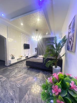 Luxury Spacious 3 Bedroom Furnished and Service Apartment, Wuye, Abuja, Flat / Apartment Short Let