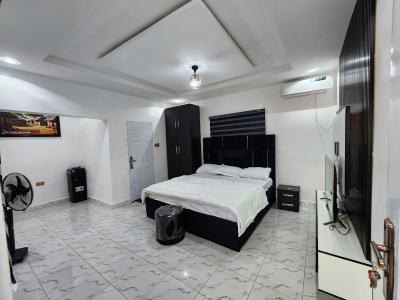 Well Located, Newly Finished, Spacious Luxury Studio Apartment — Works and Housing Estate, Karu, Abuja