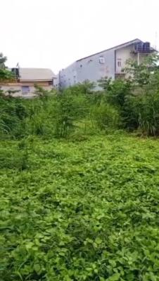 Land Measuring 431sqm with C of O, Off Admiralty Way, Lekki Phase 1, Lekki, Lagos, Land for Sale