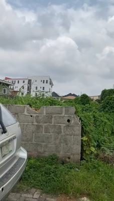 a Land Measuring 352sqm in a Gated and Interlock Neighbourhood, Off Yetunde Brown, Ifako, Gbagada, Lagos, Land for Sale