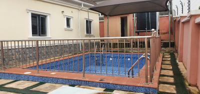 Luxury 6 Bedroom Fully Detached Duplex with Bq, Asokoro District, Abuja, Detached Duplex for Rent