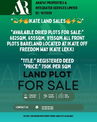 Dry Well Shaped Land, Off Freedom Way, Ikate, Lekki, Lagos, Land for Sale