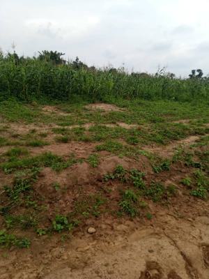 450sqm, Apo, Abuja, Residential Land for Sale