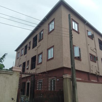 Luxury Newly Built 2 Bedroom Flat with 24 Hours Light, Ago Extension Behind Fasheun Bridge Bucknor, Ago Palace, Isolo, Lagos, Flat / Apartment for Rent