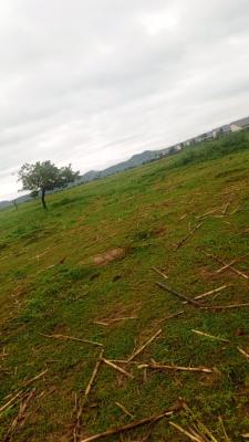 1000sqm, Apo, Abuja, Residential Land for Sale
