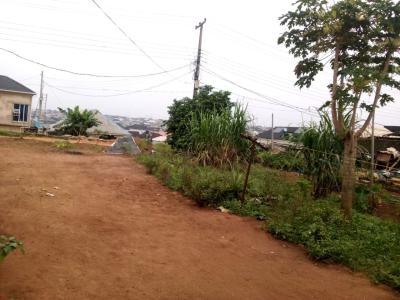 Direct Owner: Secure 250sqm Dry Land -- Perfect for Mix-use, S.a Olowu Street, Isheri Olofin, Alimosho, Lagos, Mixed-use Land for Sale